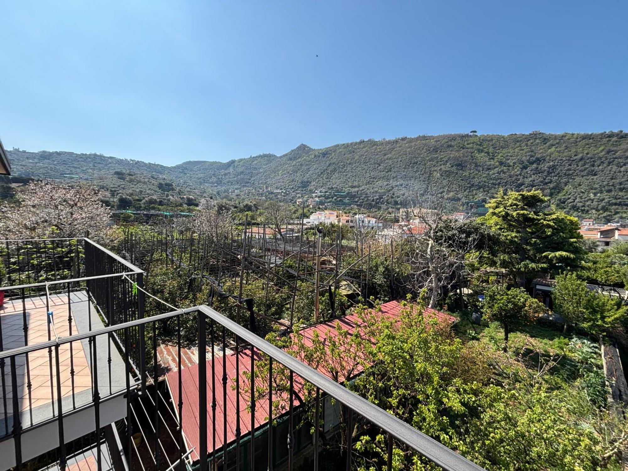 Intero Appartamento A Sant'Agnello , Le Ortensie Exteriör bild